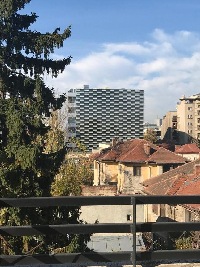 Central Appartment - Heart Of Bucharest - Sector 1 - New Renovated - Open Space Luaran gambar