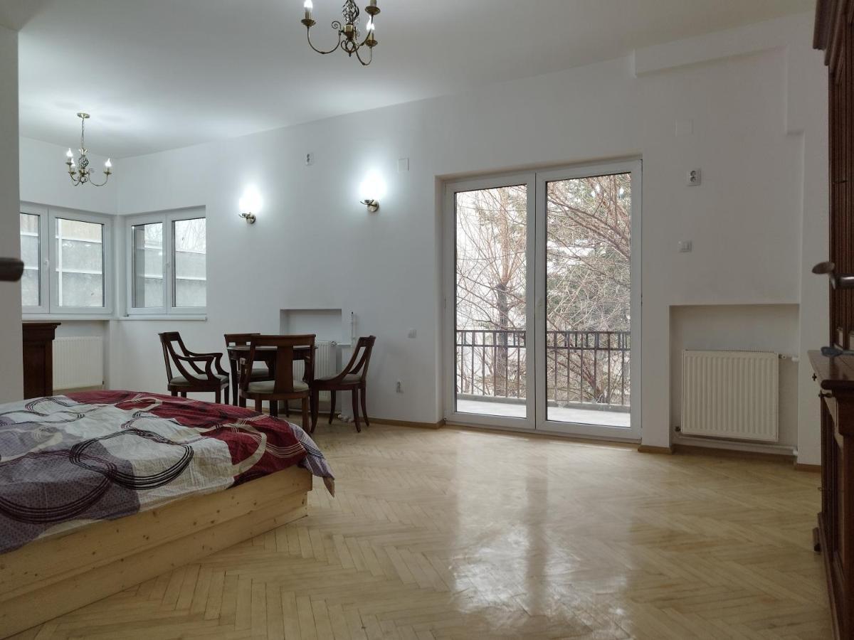 Central Appartment - Heart Of Bucharest - Sector 1 - New Renovated - Open Space Luaran gambar